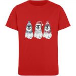 DRHMIDHZWC_STTK909-4