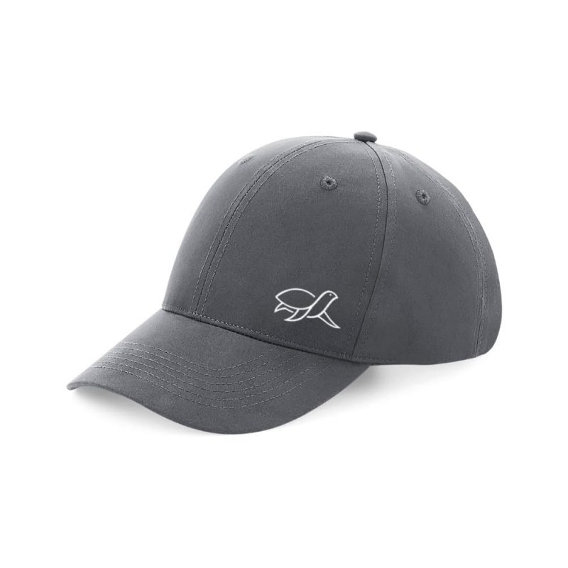 6-Panel Cap "Turtle" in grau