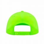 Baseball Classic Backside freshgreen
